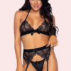 Exquisite Lace Garter Belt and Lingerie Set