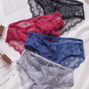 Sexy Sheer Lace Bikini Brief Undies Pack (of 4)